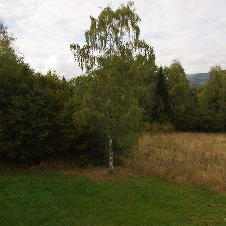 Magiczne Bieszczady - Smerek 86 Otel Cisna Dış mekan fotoğraf