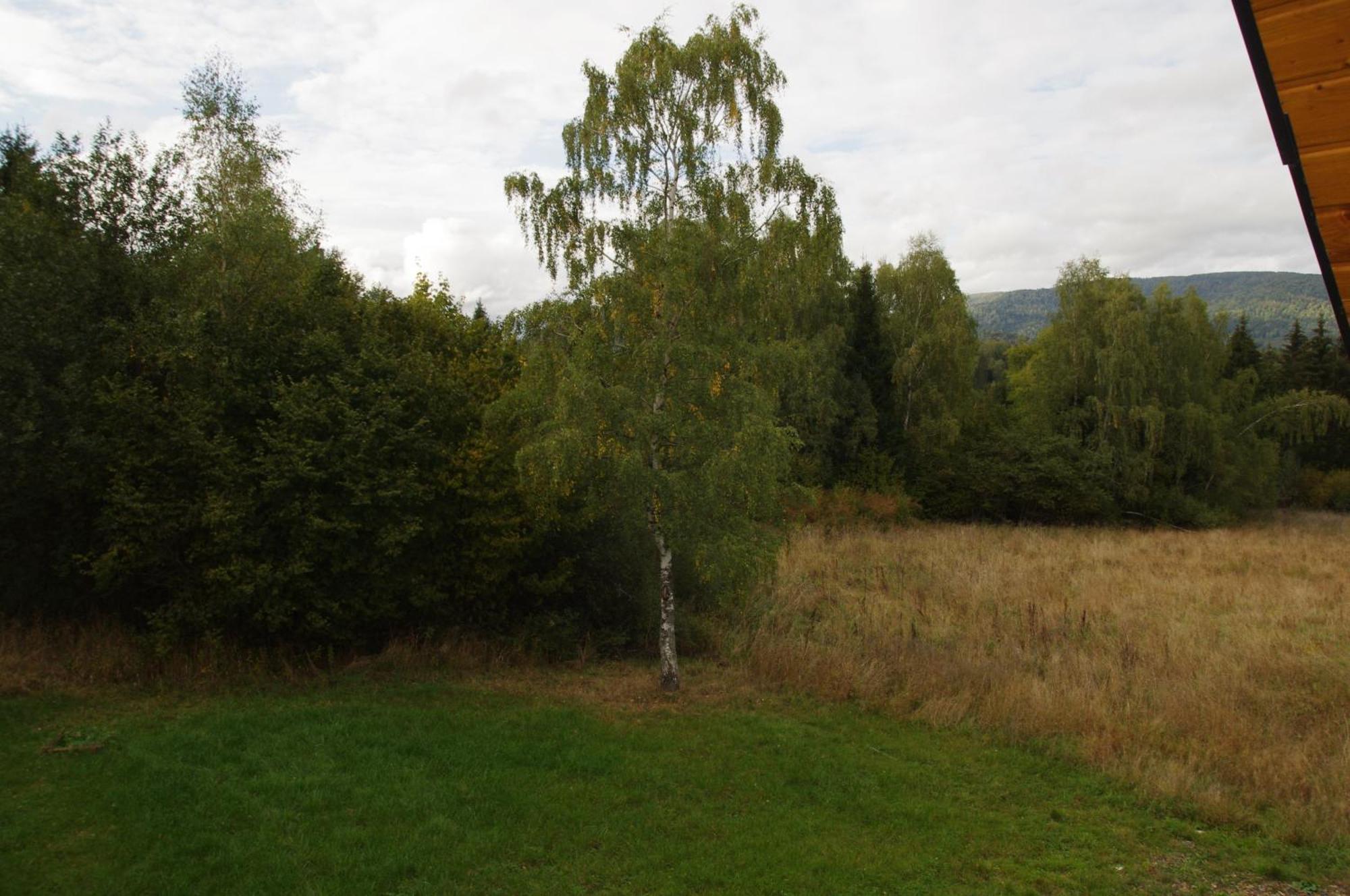 Magiczne Bieszczady - Smerek 86 Otel Cisna Dış mekan fotoğraf