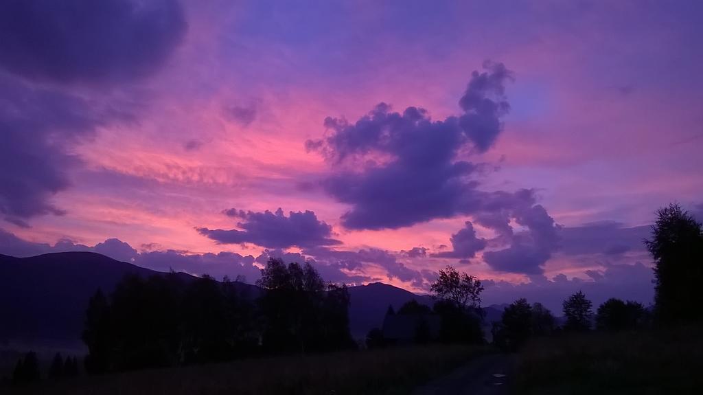 Magiczne Bieszczady - Smerek 86 Otel Cisna Dış mekan fotoğraf