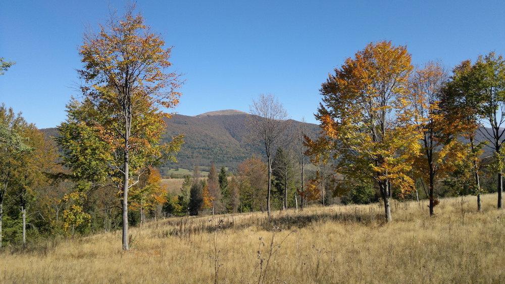 Magiczne Bieszczady - Smerek 86 Otel Cisna Dış mekan fotoğraf